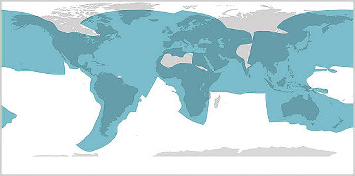 Зона покрытия широкополосных mini-VSAT в Ku-диапазоне
