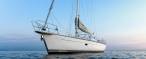 Успех C-Yacht 1250i
